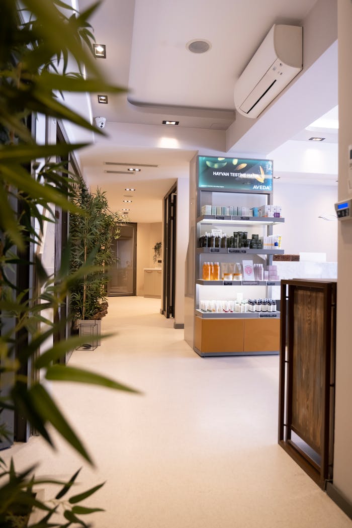 Home Elegant spa corridor featuring a product display and potted plants under soft lighting.